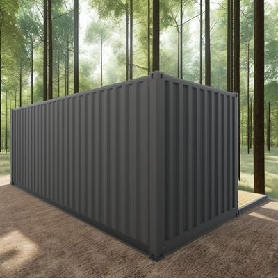 Log 20ft Eco-vriendelijk Flat Pack Container House Prefabricated Duurzame constructie Stalen structuur Veerkrachtig Regen Wind Sneeuwwinkel