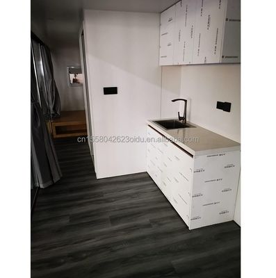 Op maat gemaakte kleur Moderne container Mini vakantie capsule kamer Eén slaapkamer Stalen structuur Hotel Ontworpen met moderne stijl