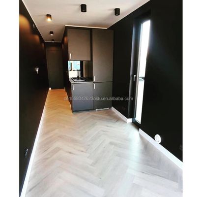 Aluminiumlegering Venster 40ft Container Renovatie voor gezin in tuin Woonkamer Slaapkamer Woonkamer Badkamer
