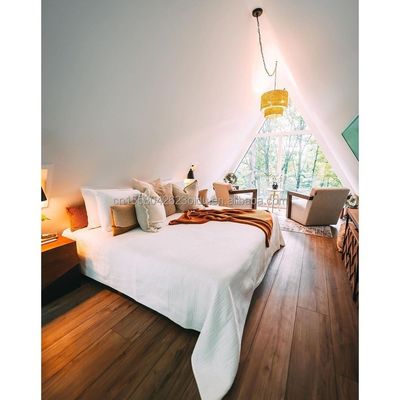 Staalstructuur Driehoekig Houten Huis