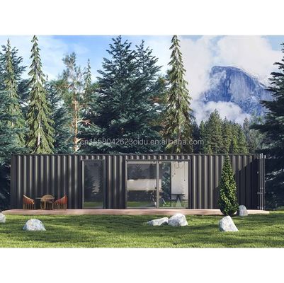 Nieuw populaire 40ft gemodificeerde container met 2 slaapkamers en aluminium vensters