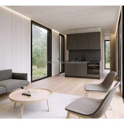 EU Modern 20ft Quick Assembly Houten Huizen Container Hotel Winkel voor kantoor in aangepaste kleur