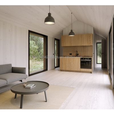 20ft Mobile Home Garden Studio Prefabricated Aanpasbaar Staal Containerhuis met Muur 50/75/100mm Wave Sandwich Panel