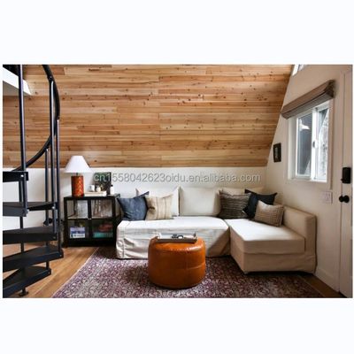20ft of 40ft Container Modern Design EU Driehoekvormige staalstructuur Houten huizen met A-vormige staalstructuur Frame Room