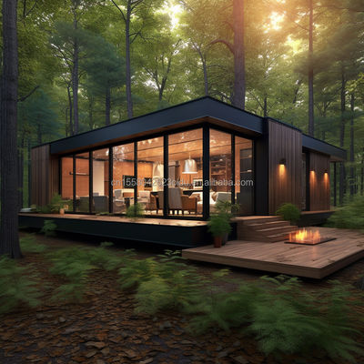 Family Steel Structure Shop 20ft/40ft EU Luxe Modern Design Prefab huis met keuken Badkamer Eén slaapkamer