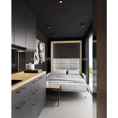 Gegalvaniseerde stalen vierkante buizen Hoofdstructuur 20ft Prefab huizen Moderne container Draagbare flat pack Woonhuis voor hotel