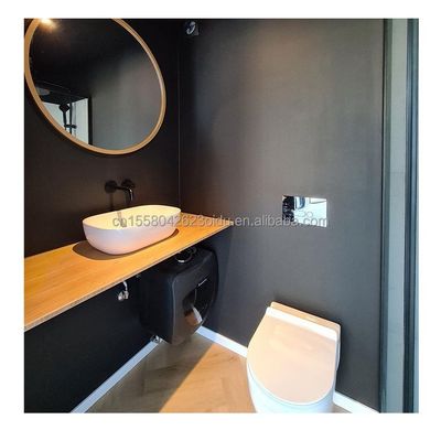20ft robuuste containerhuizen met 50/75/100mm Wave Sandwich Panel Muur en Modern Design Prefab Shipping Tiny House