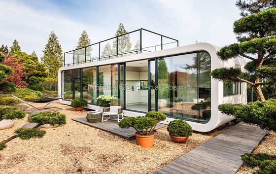 Modern 20ft 40ft Prefab Huis Outdoor Tiny Pod Koffiehuis Mobile Working Apple Cabin-Populair Prefab Cabin Appartement Appartement